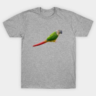 Conure T-Shirt